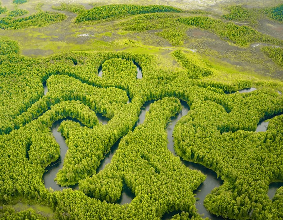 Югра